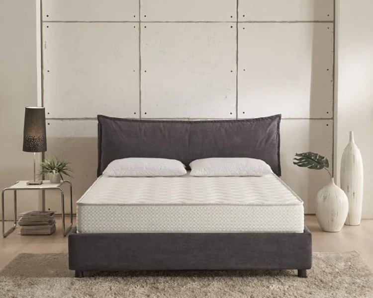 ORTHO SERIES category