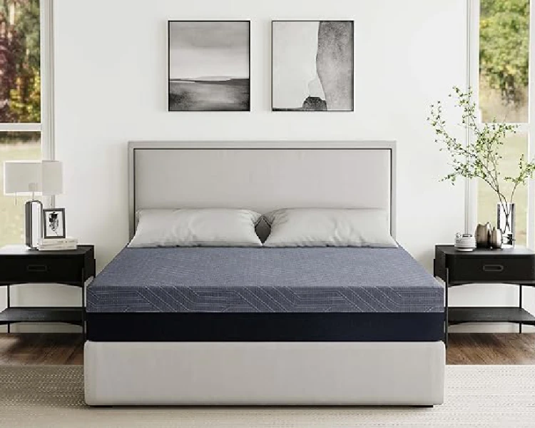 VITAL SERIES category